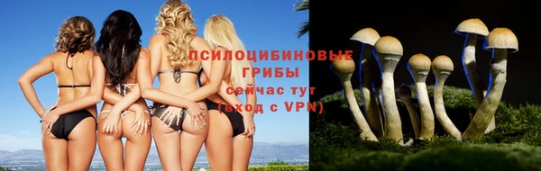 винт Абдулино