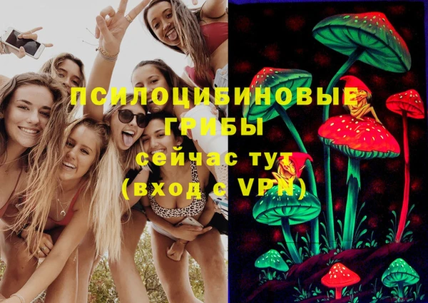 эйфоретик Абинск