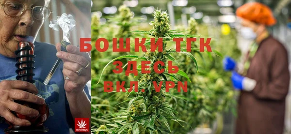 сатива Абаза