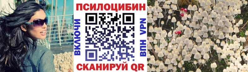 MEGA вход  Каменка  Псилоцибиновые грибы Magic Shrooms 